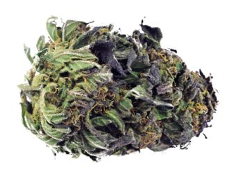 Blue Amnesia